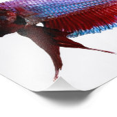 パープルプラカットベタフィッシュ フォトプリント            (角)