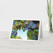 パープルプラムズブルースカイポートレート カード (正面)