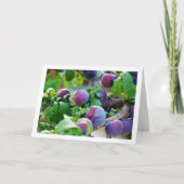 パープルプラムツリーポートレート カード (正面)