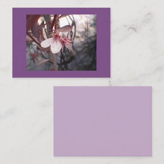 パープルプラム開花 名刺 (正面/裏面)
