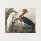 パープルヘロンの生殖， 1835プレートCCLVI タペストリー (正面(横))