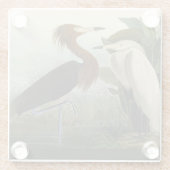 パープルヘロンオードボンバードワイルドライフ絵画ズ ガラスコースター (裏面)