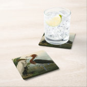 パープルヘロンオードボンバードワイルドライフ絵画ズ スクエアペーパーコースター (インサイチュ)