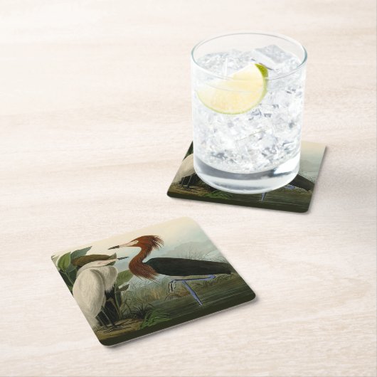 パープルヘロンオードボンバードワイルドライフ絵画ズ スクエアペーパーコースター (インサイチュ)