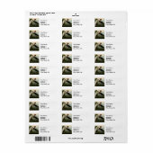 パープルヘロンオードボンバードワイルドライフ絵画ズ ラベル (フルシート)