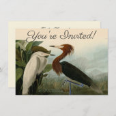 パープルヘロンオードボンバードワイルドライフ絵画ズ 招待状 (正面/裏面)