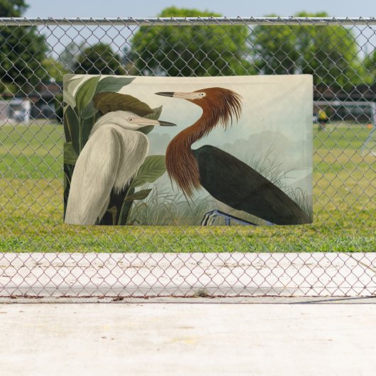 パープルヘロンオードボンバードワイルドライフ絵画ズ 横断幕 (インサイチュ)