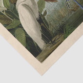 パープルヘロンオードボンバードワイルドライフ絵画ズ 薄葉紙 (詳細)