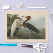 パープルヘロンオードボンバードワイルドライフ絵画ズ 薄葉紙 (クラフト)