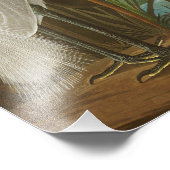 パープルヘロンバイジョンジェームズオードボン フォトプリント            (角)