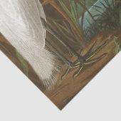 パープルヘロンバイジョンジェームズオードボン 薄葉紙 (詳細)