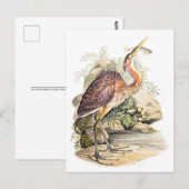 パープルヘロン（魚を持つ）芸術、エリザベス・グウィリム著  ポストカード (正面/裏面)