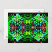 パープルペキン鏡4 ポストカード (正面/裏面)