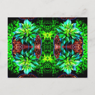 パープルペキン鏡4 ポストカード