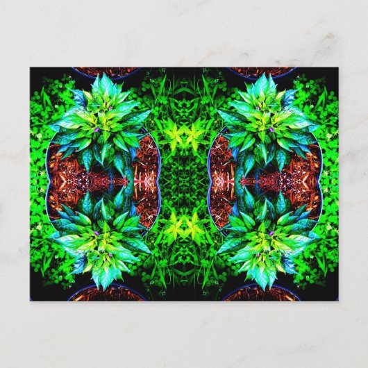 パープルペキン鏡4 ポストカード (正面)