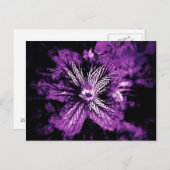 パープルペタルヘロス ポストカード (正面/裏面)