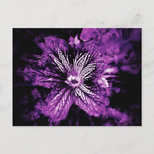 パープルペタルヘロス ポストカード (正面)