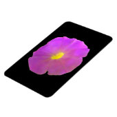 パープルペチュニアプレミアムマグネット マグネット (左側)