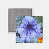 パープルペチュニア マグネット (正面/裏面)