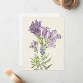 パープルペンステモンバイメリーヴォーウォルコット ノートカード (正面/裏面インサイチュ)