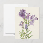 パープルペンステモンバイメリーヴォーウォルコット ノートカード (正面/裏面)