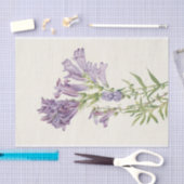 パープルペンステモンバイメリーヴォーウォルコット 薄葉紙 (クラフト)