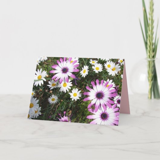 パープルホワイトデイジーフラワーガーデンサンキューカード カード (正面)