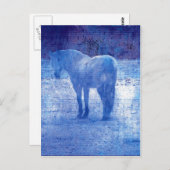 パープルホースデジタ絵画ル ポストカード (正面/裏面)