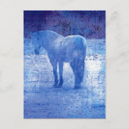 パープルホースデジタ絵画ル ポストカード