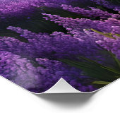 パープルマウンテンバレーサンライズ ポスター (コーナー)