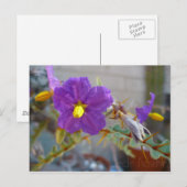 パープルマギー製品 ポストカード (正面/裏面)