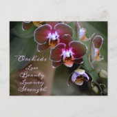 パープルマルーンオーキッドフラワーズフォトフローラ ポストカード (正面)