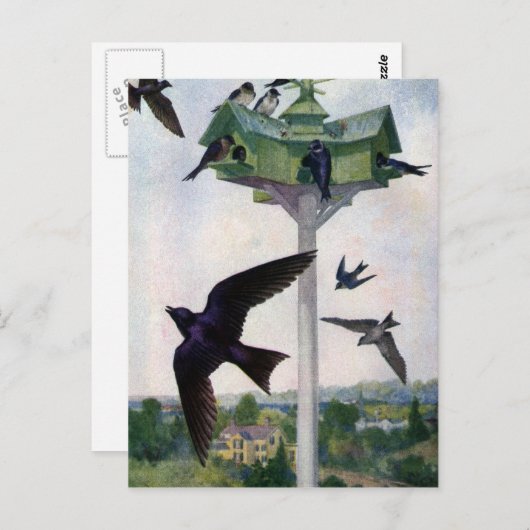 パープルマーチンズとそのバードハウス ポストカード (正面/裏面)