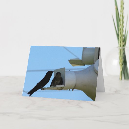 パープルマーチンズ カード (正面)