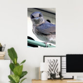 パープルマーチン ポスター (ホームオフィス)