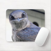 パープルマーチン マウスパッド (マウス)