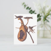 パープルマーティンオードボンバーズウィズグルドホーム ポストカード (スタンド正面)