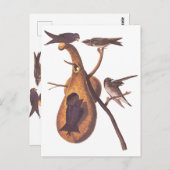 パープルマーティンオードボンバーズウィズグルドホーム ポストカード (正面/裏面)