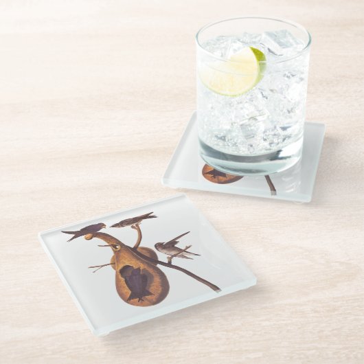 パープルマーティンオードボンバードファミリーアンドグルドホーム ガラスコースター (アングル)