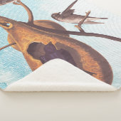 パープルマーティンオードボンバードファミリーアンドグルドホーム シェルパブランケット (3/4)