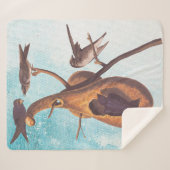 パープルマーティンオードボンバードファミリーアンドグルドホーム シェルパブランケット (正面(横))