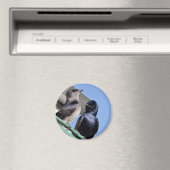 パープルマーティンメイト マグネット (インサイチュ (食洗機))