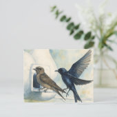 パープルマーティン大家自然スワローバードグルズ ポストカード (スタンド正面)