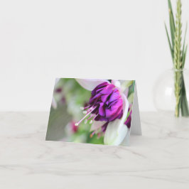 パープルミント明るい赤紫色 シーズンカード