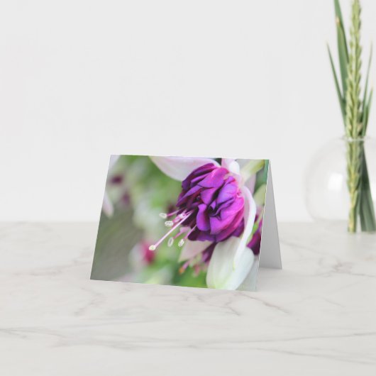 パープルミント明るい赤紫色 シーズンカード (正面)