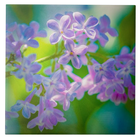 パープルライラックの花 タイル (正面)