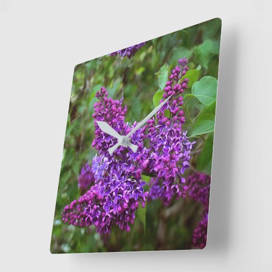 パープルライラック春の日 スクエア壁時計 (傾斜)