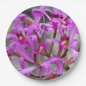 パープルライリアオーキズフローラ ペーパープレート (正面)