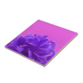 パープルラズベリエレガントーフローラ タイル (側面)