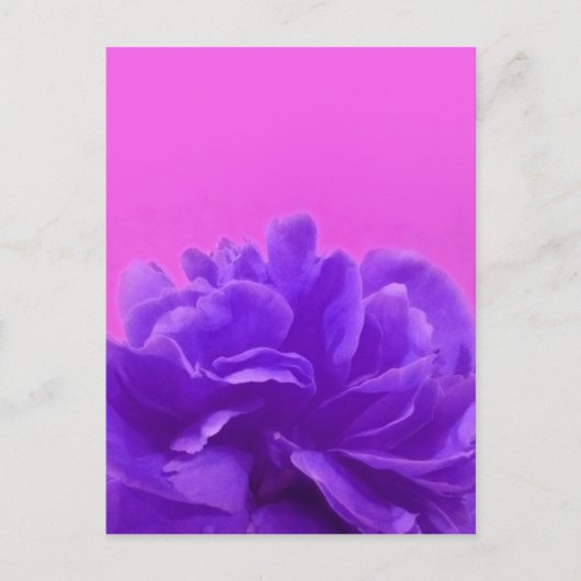 パープルラズベリエレガントーフローラ ポストカード (正面)